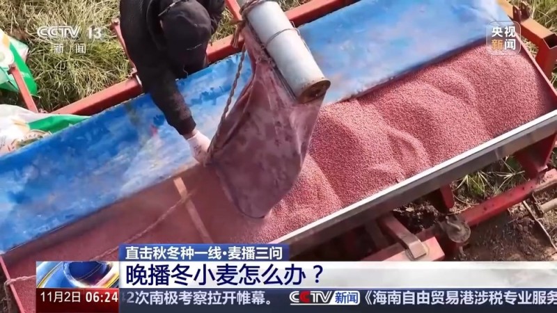 视频丨如何种好“过冬客人”冬小麦？专家介绍三个播种技巧