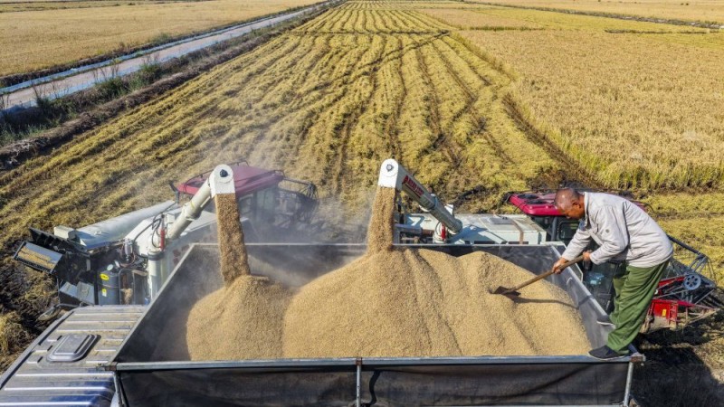 权威解读|从10月数据看中国经济增长点