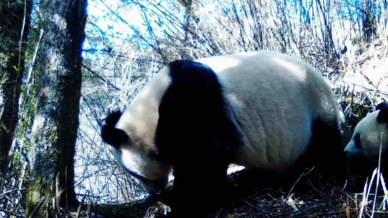 新华视点｜生态绘新卷 各地绘就绿色发展好风光