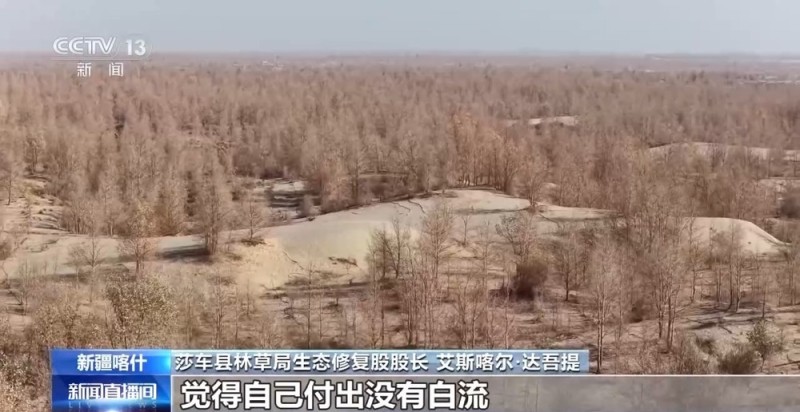 从“死亡之海”到“水产绿洲” 解锁新疆“点沙成金”的密码→