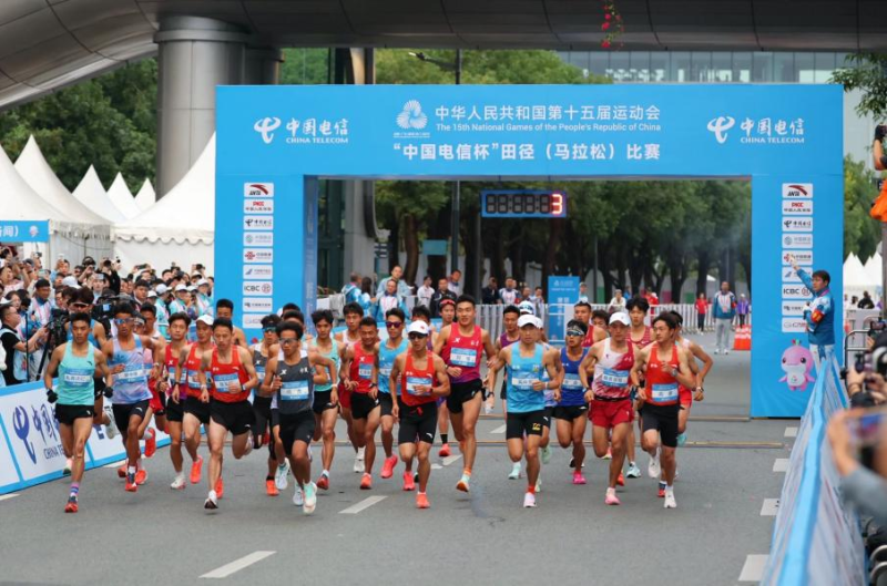 志愿者Vlog丨“马”上有戏!香港“小海豚”解锁湾区融合新姿势