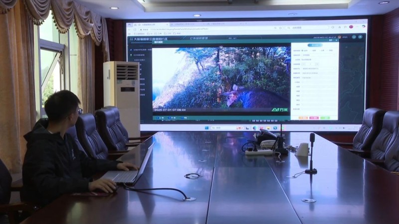 新华视点｜生态绘新卷 各地绘就绿色发展好风光