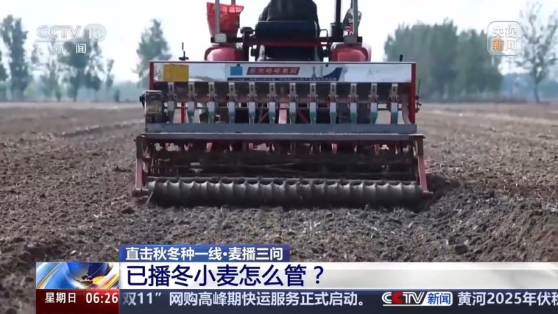 视频丨如何种好“过冬客人”冬小麦？专家介绍三个播种技巧