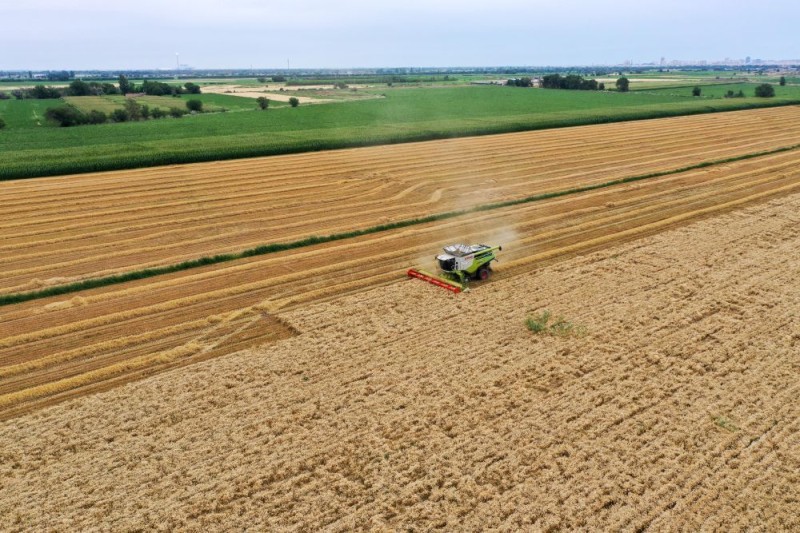 来昌吉感受棉粮煤的“吨位”