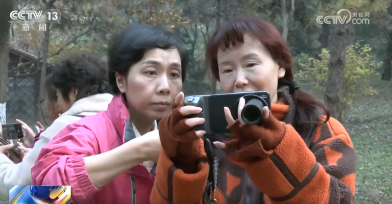 “科技范儿”“悦己型”……银发消费花式“上新”潜能迸发 服务供给加速升级