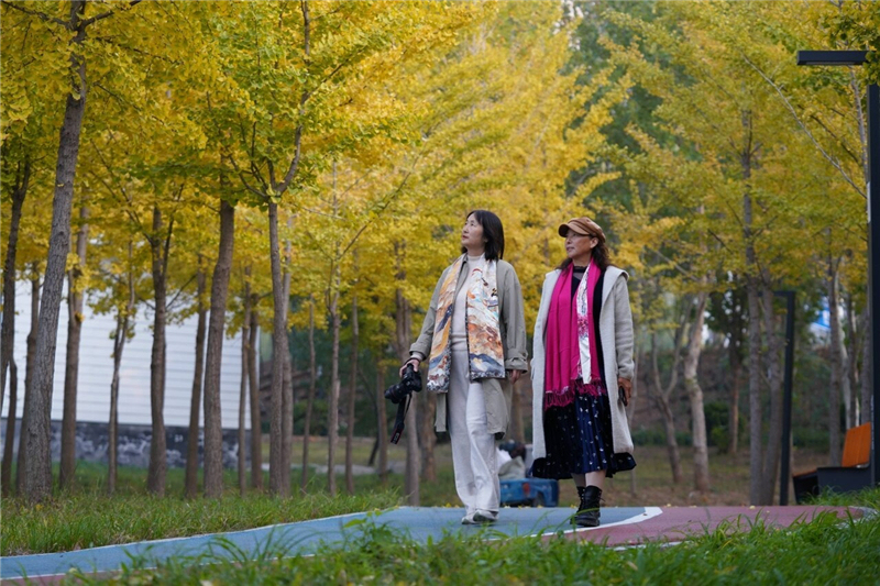 W020251114705250690715.jpg 新闻纵深・解码宜居县城新样本|小成本如何“改”出大幸福