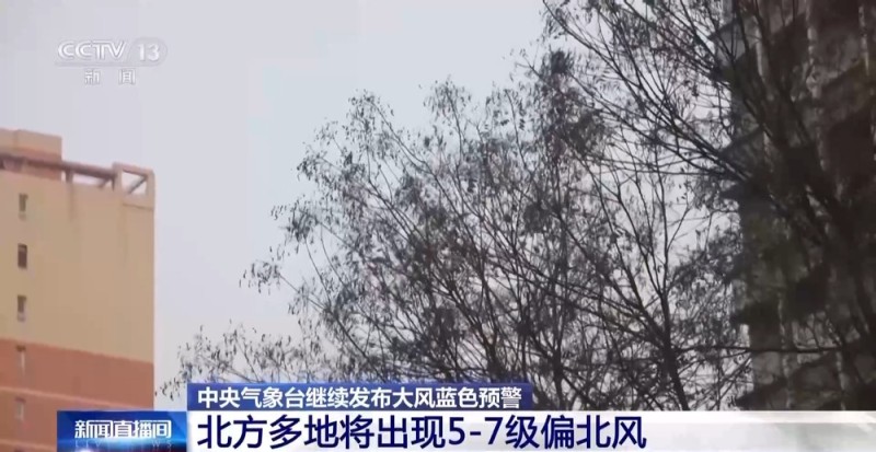 视频丨冷冷冷！新一轮冷空气在路上 北方多地将出现大风降温