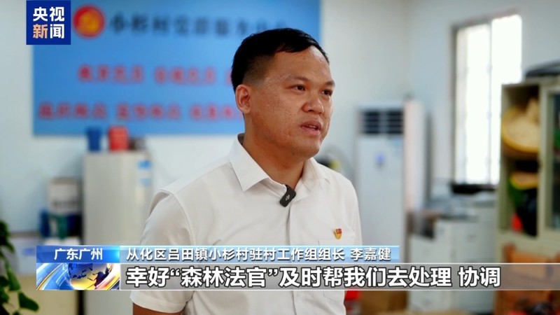 光阴的故事丨行走的天平 “森林法官”多跑“一公里”守护绿水青山