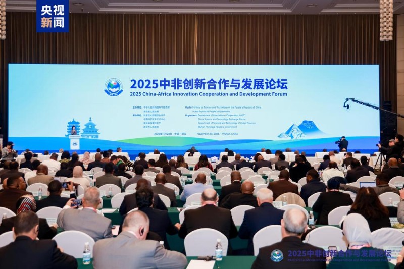2025中非创新合作与发展论坛在武汉开幕