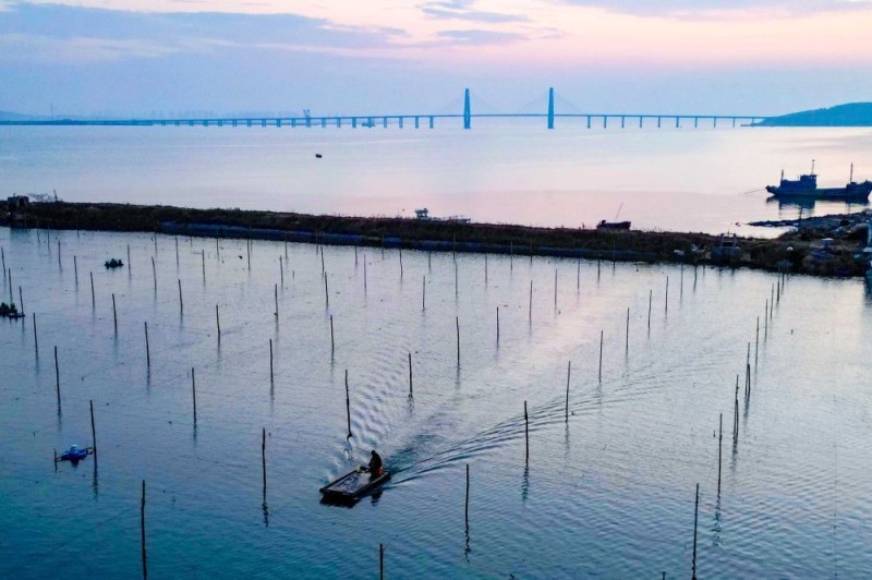 四中全会精神在基层｜山东：耕海牧渔充盈“蓝色粮仓”