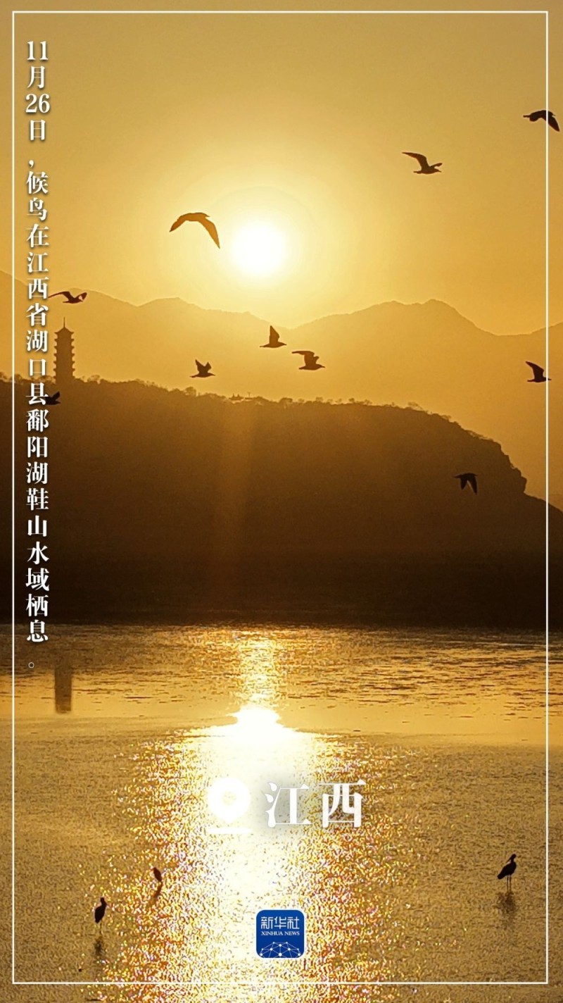 “初冬限定”美景上线！一起来欣赏吧