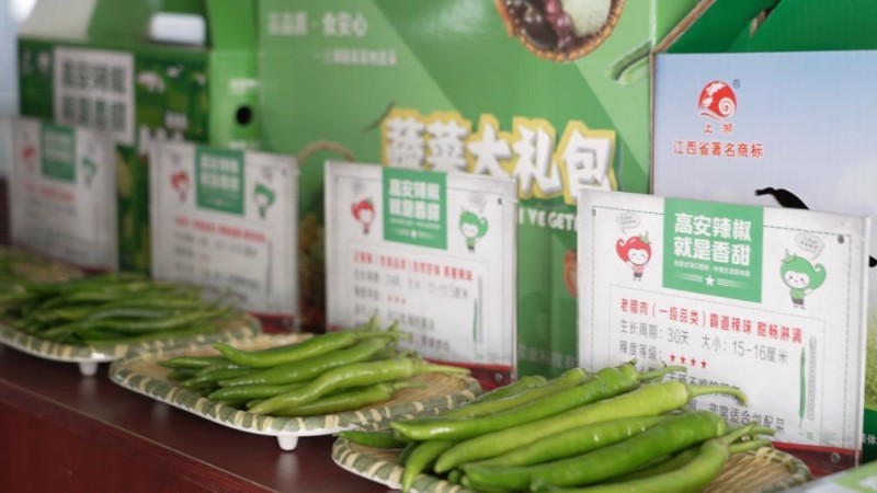 新华视点｜中部地区贯彻落实四中全会精神 以高质量发展书写中部崛起新篇章