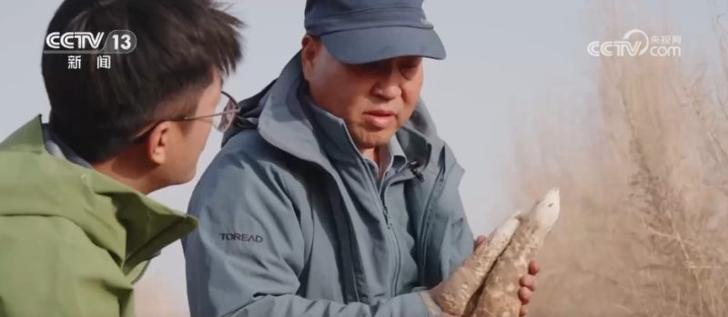 从“沙进人退”到“沙里淘金” 沙漠中种出绿色富民“聚宝盆”