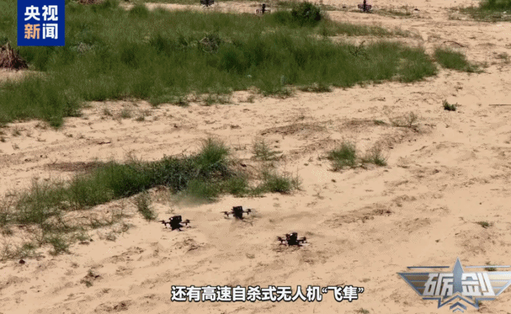 视频丨全域感知、精准狙杀 “智能蜂群”出击！
