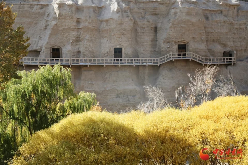 何以中国・壁画里的中国|榆林窟壁画:古人的生活图鉴 “晒”出千年烟火气