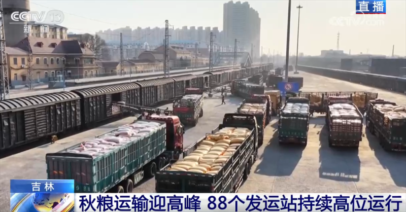 “铁海联运”“黄金水道”按下秋粮运输“加速键” 为全国粮食安全筑牢坚实屏障