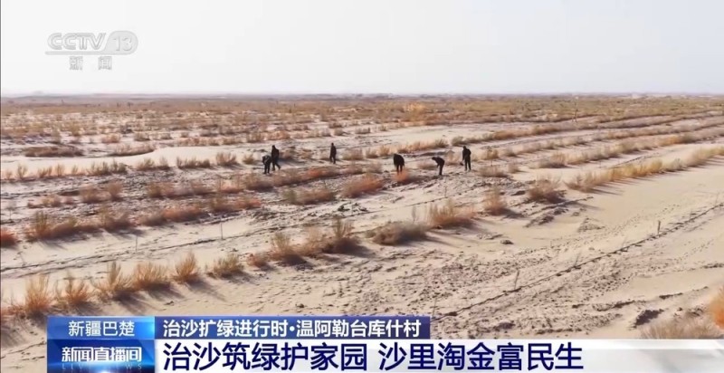 从“死亡之海”到“水产绿洲” 解锁新疆“点沙成金”的密码→