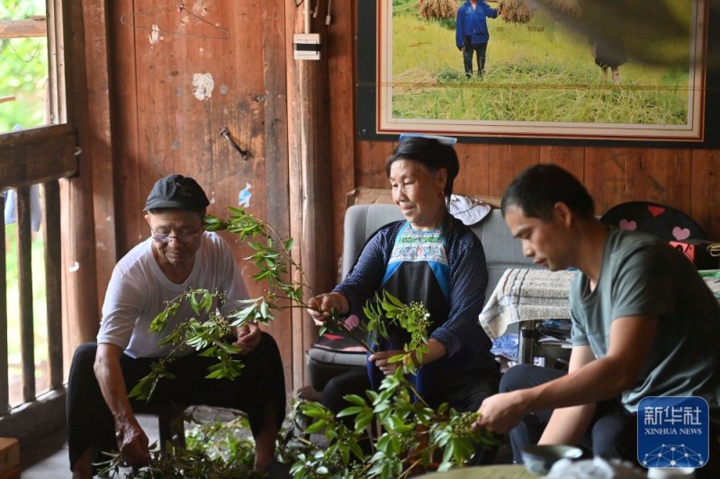 可爱的乡村――跨区域协作助深山苗寨产业发展