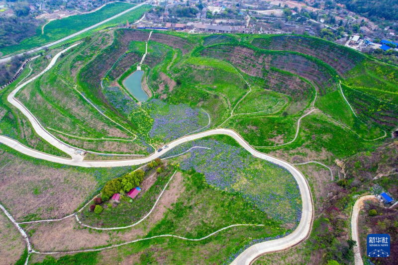 中国经济样本观察・县域样本篇丨从“养在深闺”到惊艳世人――揭秘庐江之变的密码