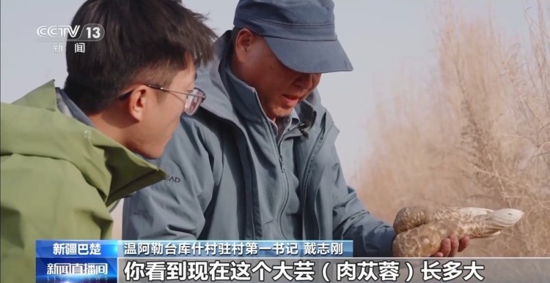 从“死亡之海”到“水产绿洲” 解锁新疆“点沙成金”的密码→