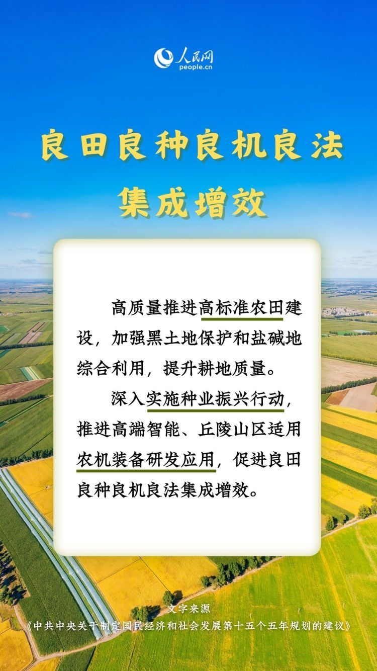 热词里的“十五五”丨这些“三农”关键词，透露增收新路径