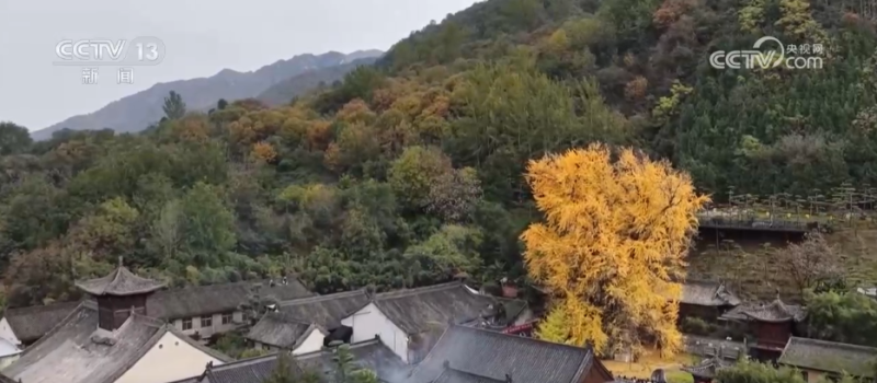 特色赏秋游热潮澎湃 “文旅+”新场景新业态激发“秋日经济”活力