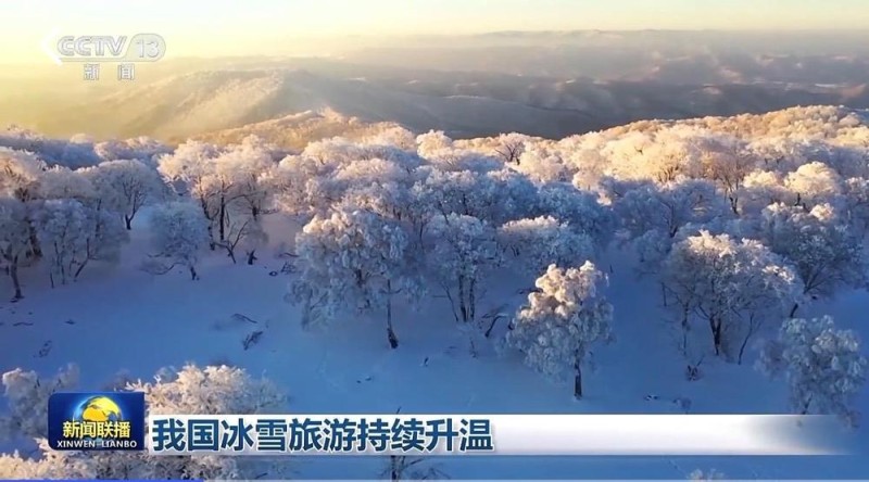 总台周看点｜燃情冬日