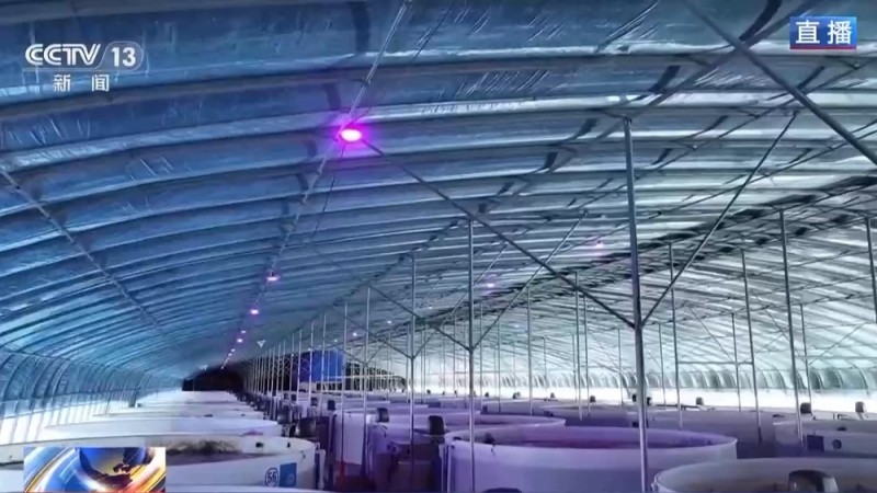 沙漠里如何养海鲜?解锁塔克拉玛干沙漠的水产养殖密码