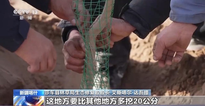 从“死亡之海”到“水产绿洲” 解锁新疆“点沙成金”的密码→