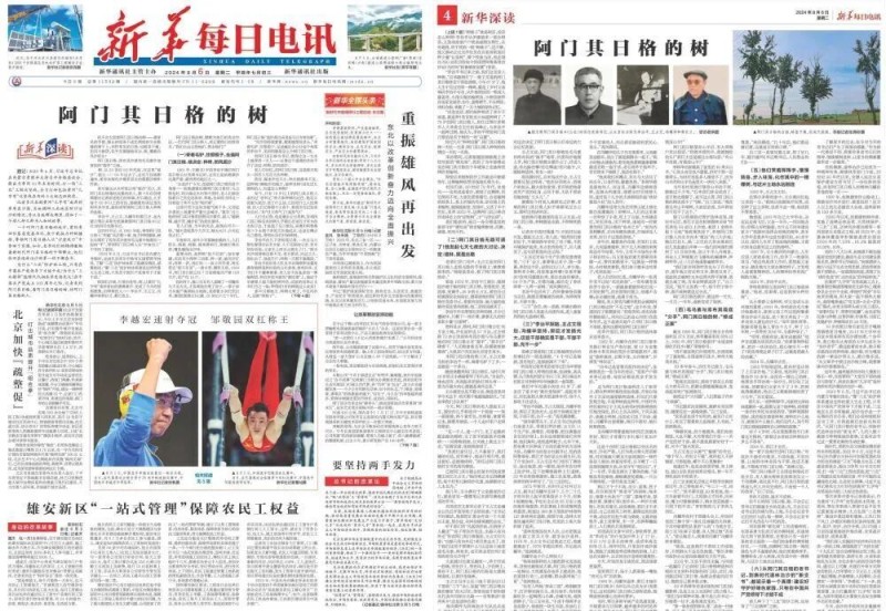 中国新闻奖诞生记 | 《阿门其日格的树》是如何“种”成的