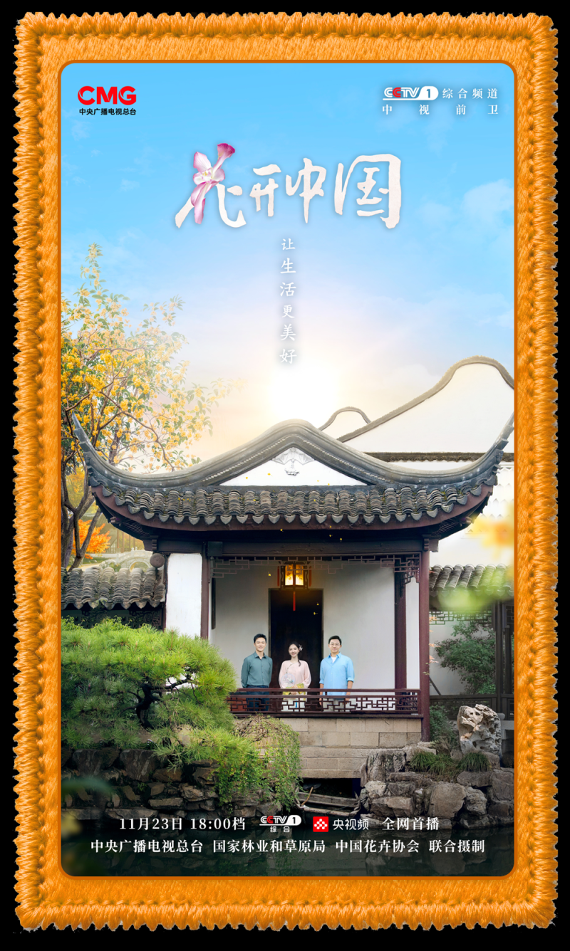 总台周末看点丨“含金量”满满!