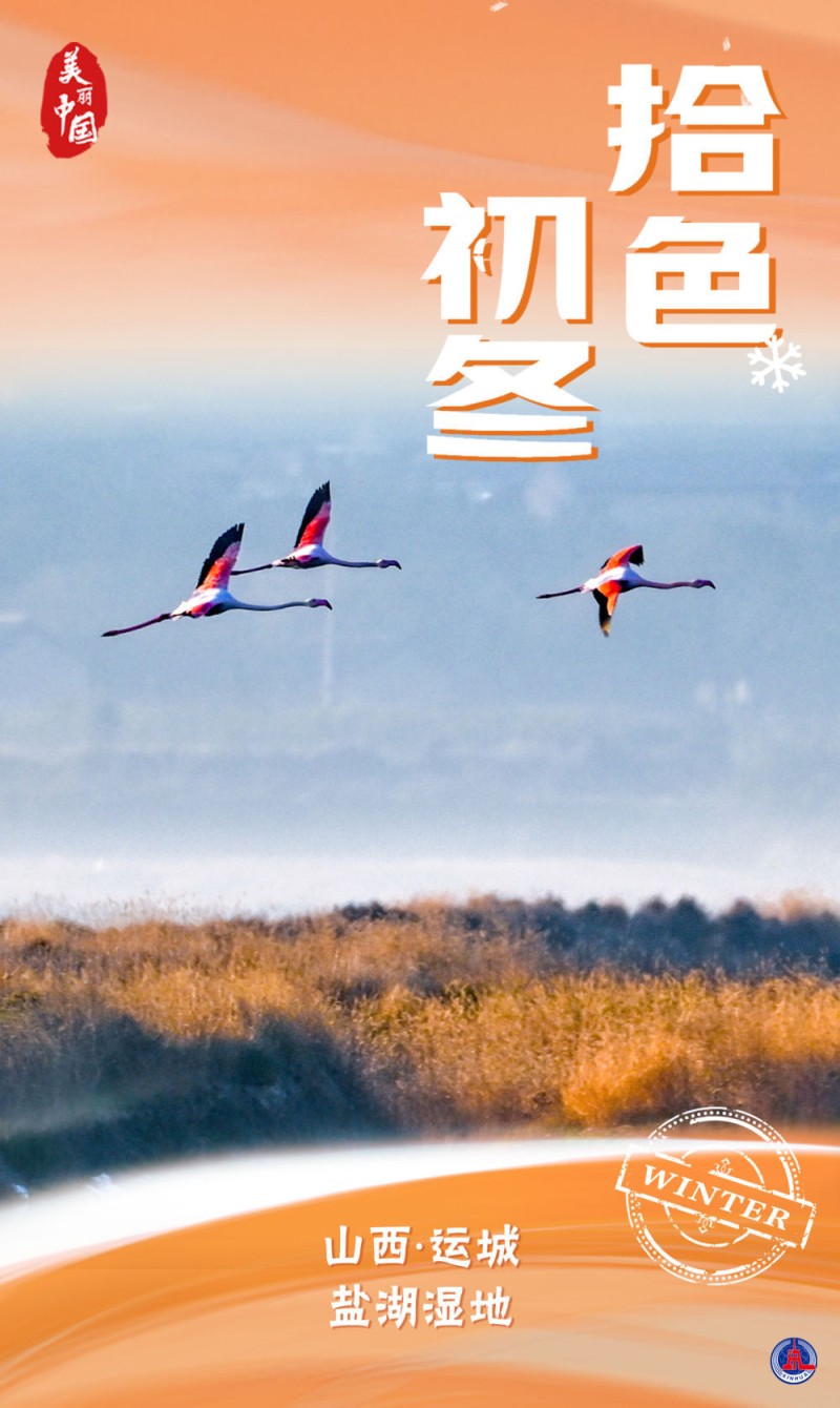 海报｜美丽中国・拾色初冬