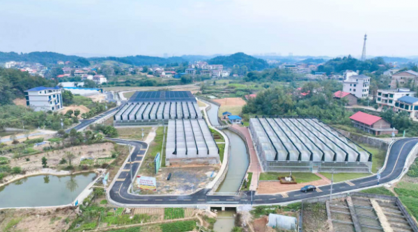 【理响中国・一线探新】产业振兴绘就“诗画田园”