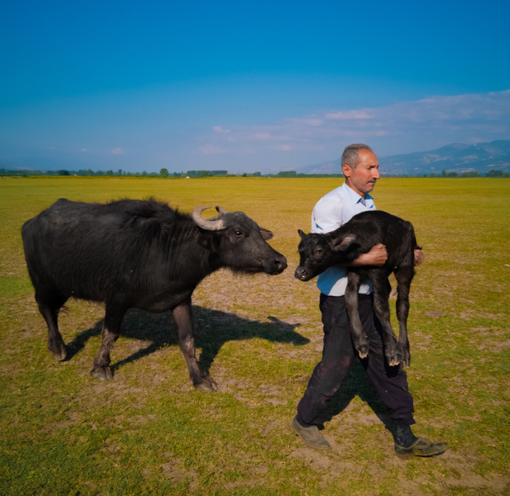 一个世纪后，我们终于人人都能拍照了