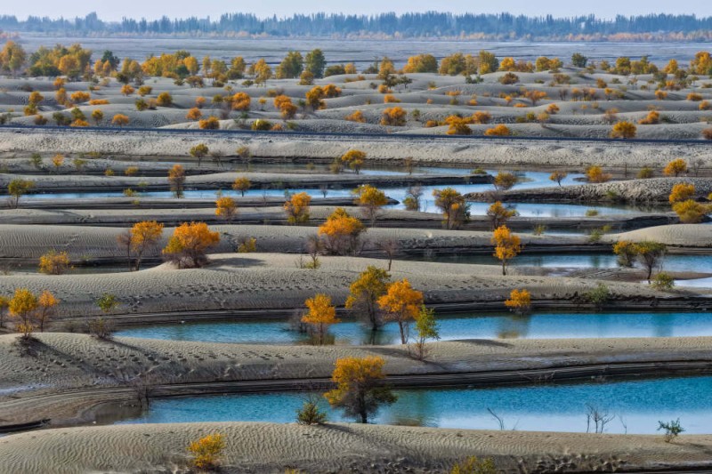 中外游客在大美新疆感受“多彩”魅力