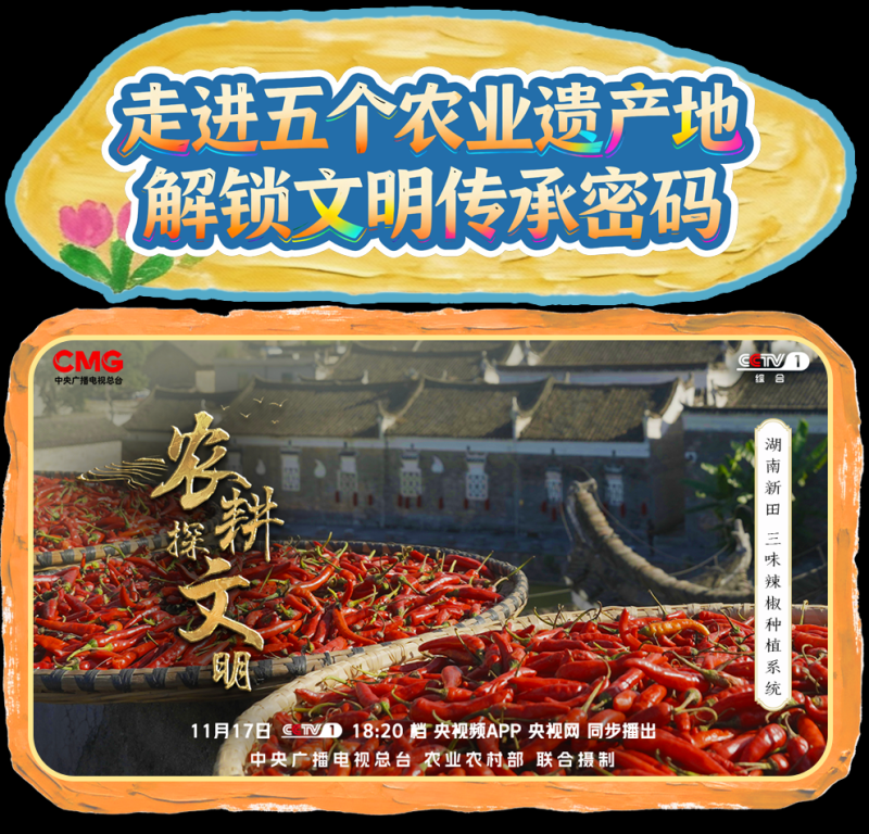 总台周看点丨运动之美