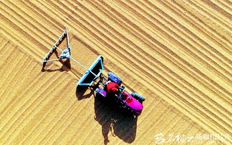 奋进的新疆・我们的“十四五”丨从“自己吃饱”到供给国家