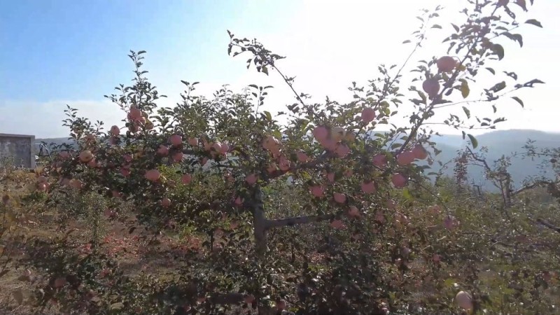 新华视点｜生态绘新卷 各地绘就绿色发展好风光