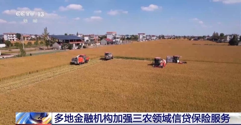 视频丨蔬菜贷、民宿贷、水果贷 金融服务“精准滴灌”到田间地头