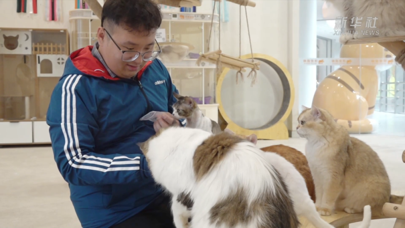 千亿“新赛道”的崛起密码|逛出幸福感:与“毛孩子”同行的城市地标