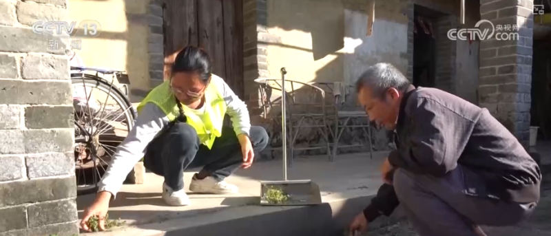 从“健全”到“优化” 农村老年人的事有专人管 优质享老托起民生“温度”