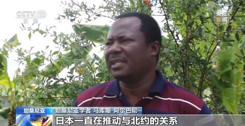 视频丨多国人士：高市错误言论挑衅国际正义 危害深重