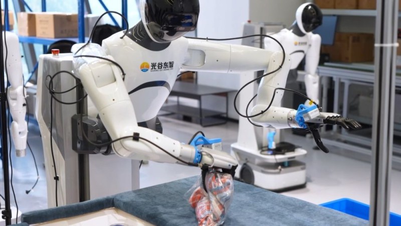 新华视点｜中部地区贯彻落实四中全会精神 以高质量发展书写中部崛起新篇章