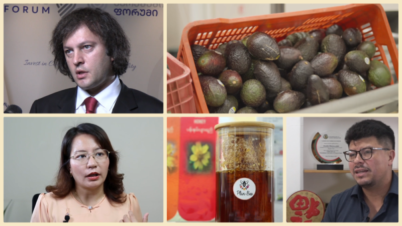 微视频|开放惠全球