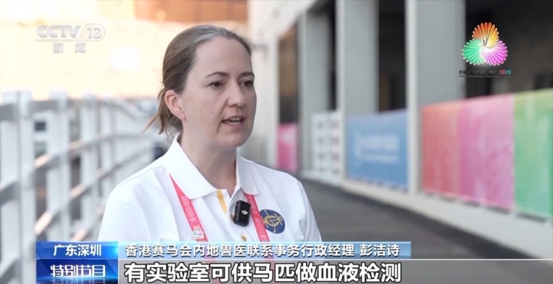 视频丨十五运会马术比赛在深圳进行 粤港两地紧密协作