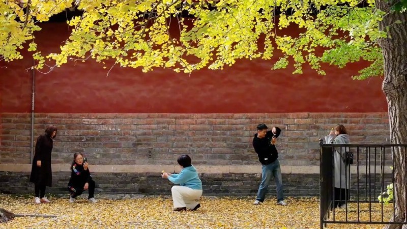 新华视点|文旅消费提质升级 多地经济焕发冬日新活力