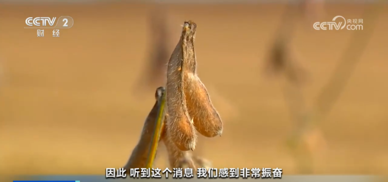 中美就扩大农产品贸易达成共识 美国豆农如释重负