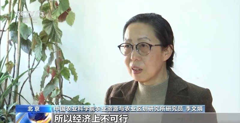 视频丨包装玉米是“僵尸玉米”？专家解读