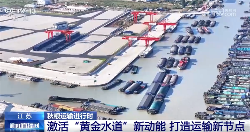 “铁海联运”“黄金水道”按下秋粮运输“加速键” 为全国粮食安全筑牢坚实屏障