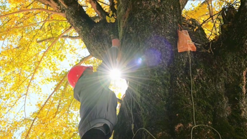 新华视点|文旅消费提质升级 多地经济焕发冬日新活力